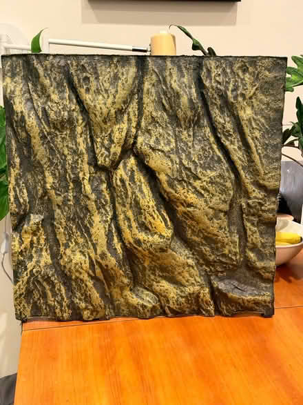 Photo of free Exo terra styrofoam reptile wall (Bruce grove N17) #1