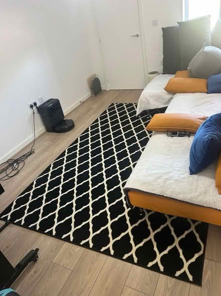 Photo of free Rug 190cm x 280cm (Waverley S608ef) #1