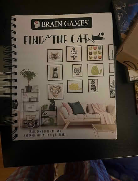 Photo of free Find the Cat puzzle book (Adams Morgan) #1