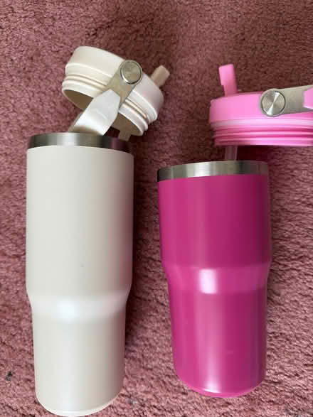 Photo of free Metal drink flask with straw (Purley CR8) #1