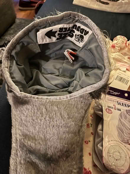 Photo of free Big Bad Wolf Costume (Adams Morgan) #2