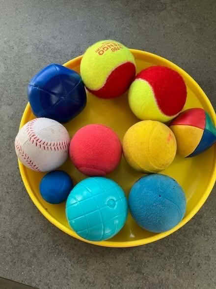 Photo of free Assorted balls and a frizbee - dog toys? (Cheadle Hulme SK8) #1