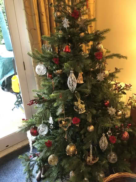 Photo of free Christmas tree ?5 foot (Surbiton KT6) #1