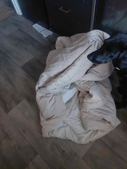 Photo of free King-size coverless duvet (Bognor Regis - PO22) #1