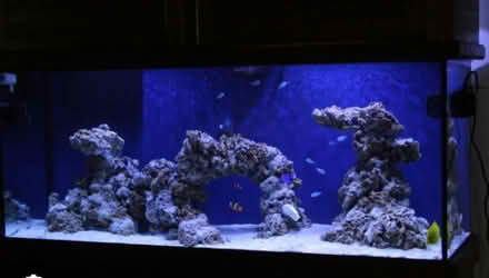 Photo of Marine aquarium (Egerton Park CH42) #1