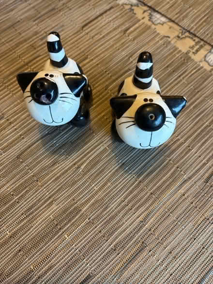 Photo of free salt and pepper shakers (Thatcham RG19) #1