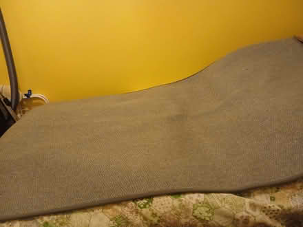 Photo of free Rug (Belmont SL6) #1