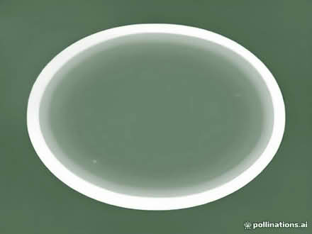Photo of Pickleball Paddle (Stoke Aldermoor CV3) #1