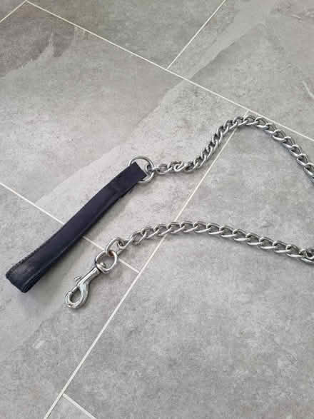 Photo of free Sturdy dog lead (Guildford Road, Horsham RH12) #1