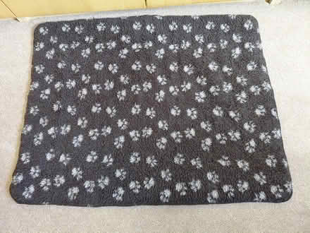 Photo of free Dog or Pet bed / mat (Edinburgh Corstorphine EH12) #1
