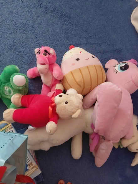 Photo of free Bag of teddies (Bognor Regis - PO22) #1