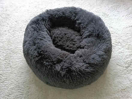 Photo of free Unused small dog or cat bed (Luton Lewsey LU4) #1