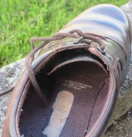 Photo of free Brown leather Padders shoes; Dr-Martens-like soles size 8/42 (Kingsway BA2) #4