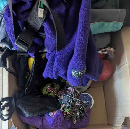 Photo of free Dog leads, jumpers, toys, etc (Beeston - LS11) #2