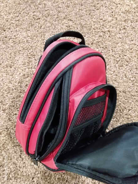 Photo of free NINTENDO DS Carrying Cases (NE side of Cedar Rapids) #2