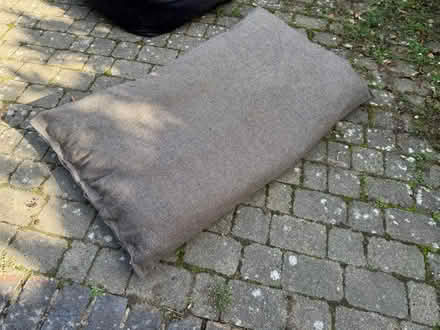 Photo of free Dog bed (large) #2 (Mum’s RH17) #1