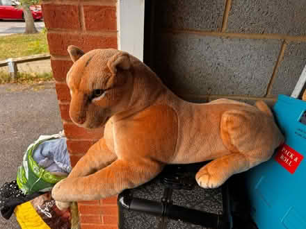 Photo of free Stuffed animal lioness (Shenley Brook end MK5) #1