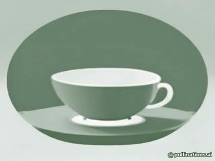 Photo of free Saucers For T-Cups (Miscellaneous) (Golden Triangle NR2) #1