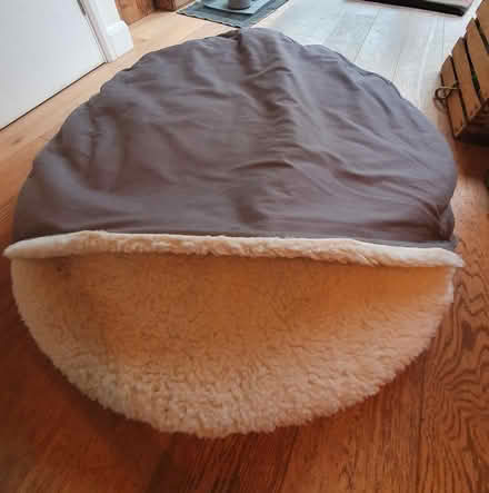 Photo of free Large dog bed (Twickenham TW2) #2