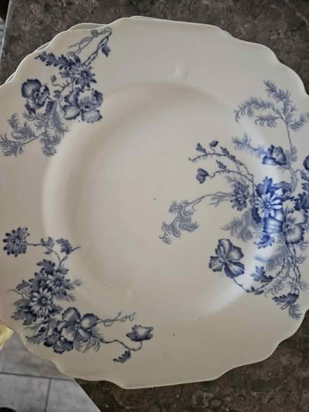 Photo of free cake/side plates (Cranfield) #2