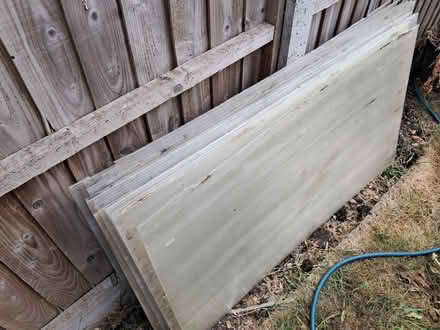 Photo of free Twin wall sheets (Presteigne LD8) #1