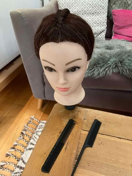 Photo of free Hairdressing model (head) (Pannal HG2) #4