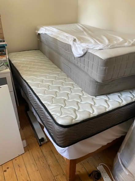Photo of free 3 mattresses (2 singles, 1 double) (Southwark Park, SE16) #1