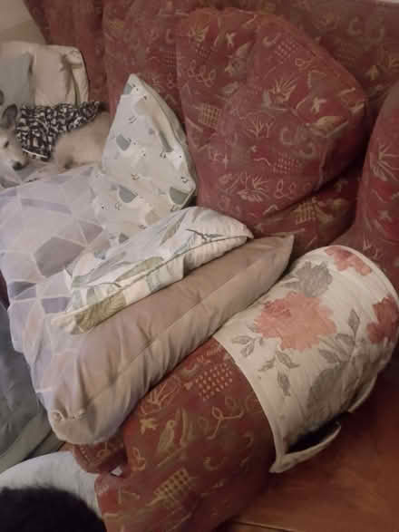 Photo of free Multiyork sofa (Mousehold NR3) #1