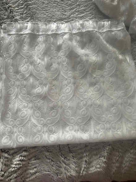 Photo of free Window nets (ME8) #1