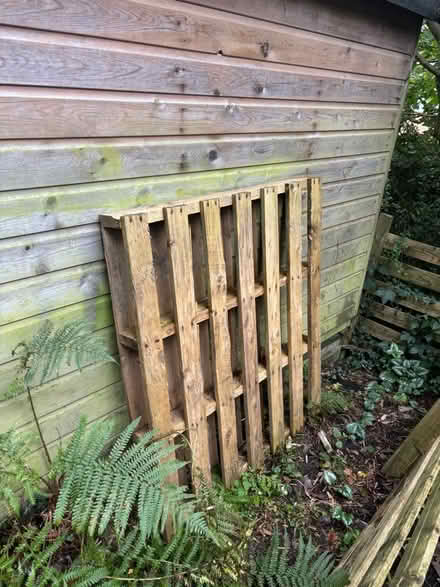 Photo of free Pallet - wooden (Aldcliffe LA1) #1