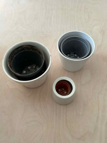 Photo of free 3 white planters flower pots (Peckham SE15) #1