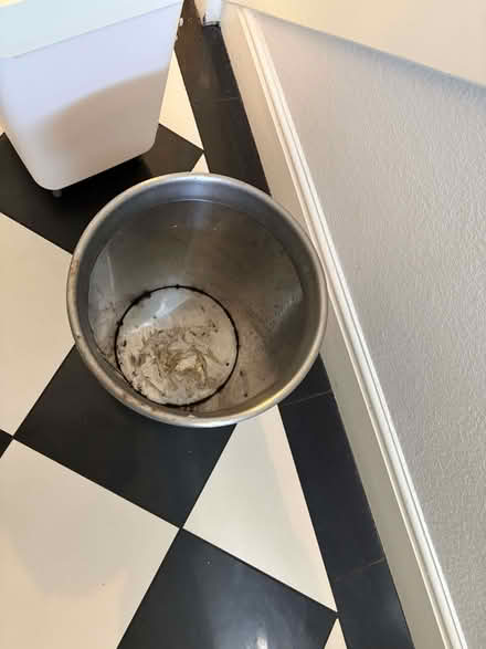 Photo of free Bin or indoor plant outer pot - metal, steel, IKEA (Sharrow S7) #2