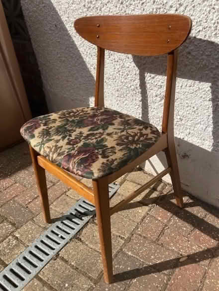 Photo of free Dining Chairs (Sunbury on Thames TW16) #1