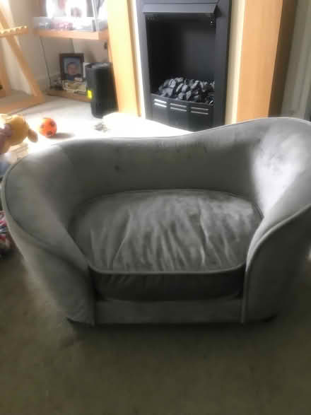 Photo of free Cat/ puppy Sofa (Edinburgh EH125SL) #1