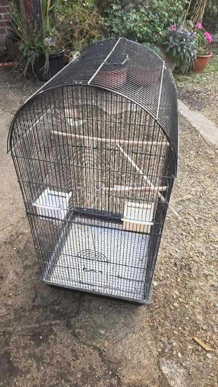 Photo of free Bird cage (Kingwood Common RG9) #1