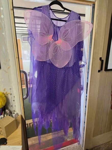 Photo of free Two adult fancy dress outfits (Tardebigge, B97) #2