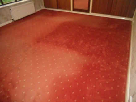 Photo of free Used Carpet (Morpeth Town NE61) #4