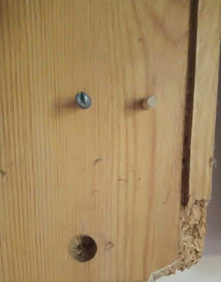 Photo of free 2-door Wardrobe (Cutteslowe OX2) #4