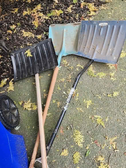 Photo of free Old shovels (Somers) #1
