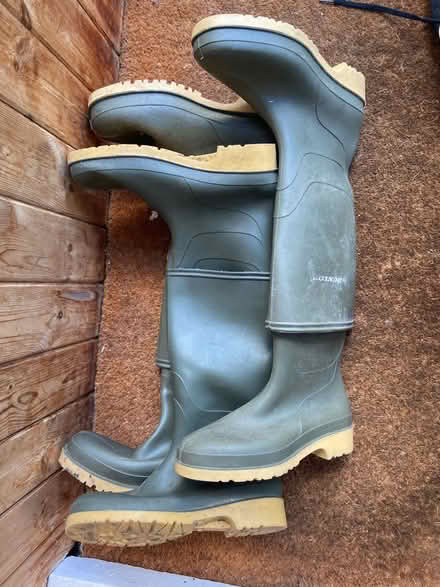 Photo of free Wellies adult sizes 5,6 and 8 (Whitton TW2) #1