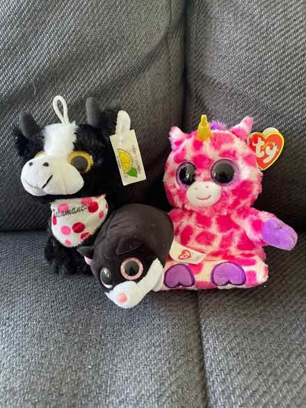 Photo of free Big-eyed soft toys (North Road BA2) #1
