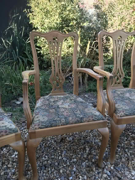 Photo of free Dining Chairs (Upton End Road SG5) #2