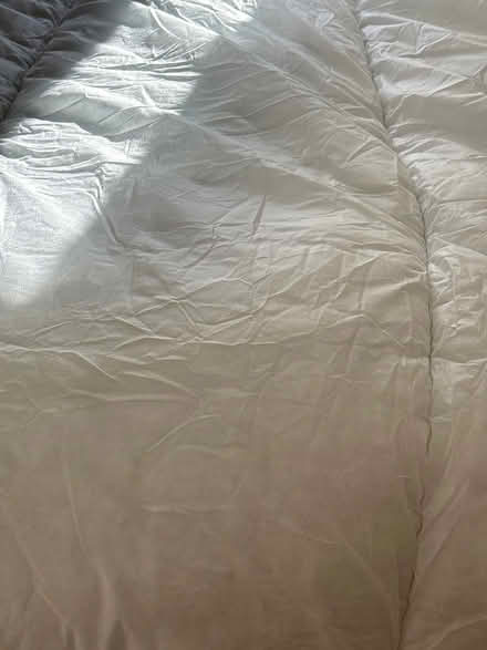 Photo of free Single duvet cover (Brightlingsea) #1
