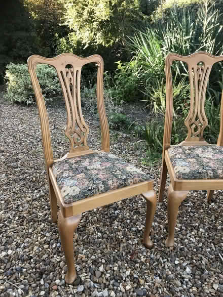 Photo of free Dining Chairs (Upton End Road SG5) #3