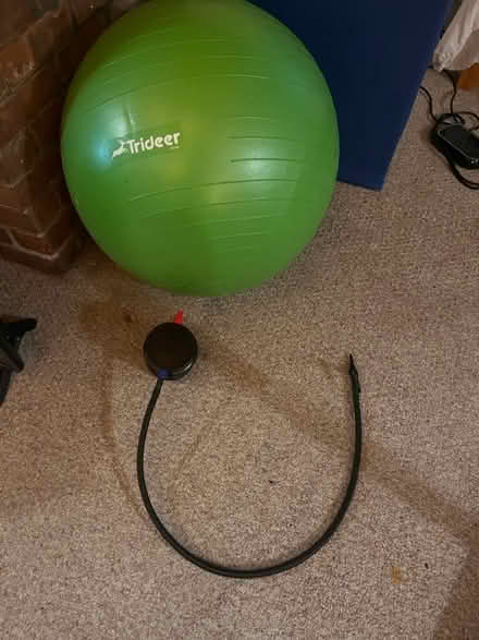 Photo of free Exercise ball: never used (Kingston, NY) #1