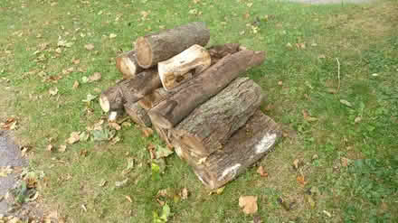 Photo of free Wood (West Irondequoit) #1