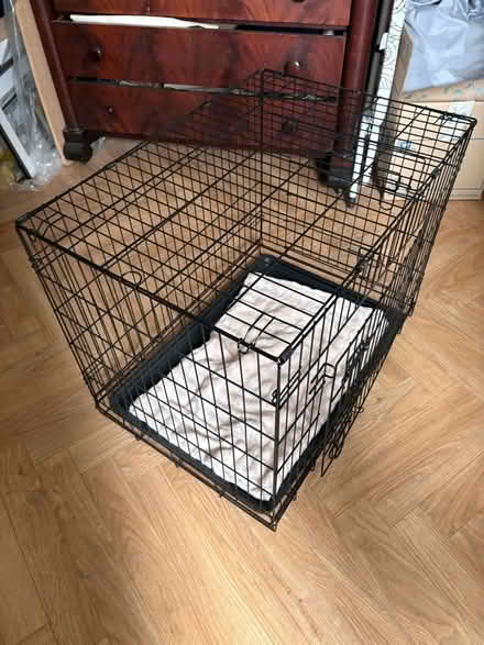 Photo of free Dog crate (Queen's Park G41) #2