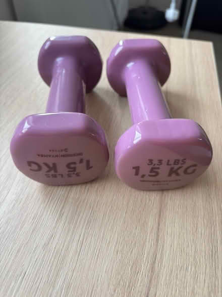 Photo of free 1.5 kg dumbells (Ealing W13) #1