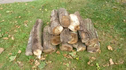 Photo of free Wood (West Irondequoit) #2