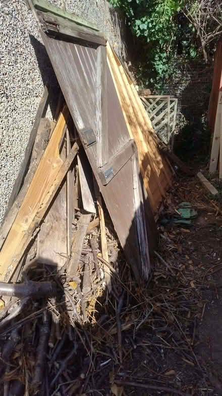 Photo of free Lots of wood (Thorpe Bay SS3) #3